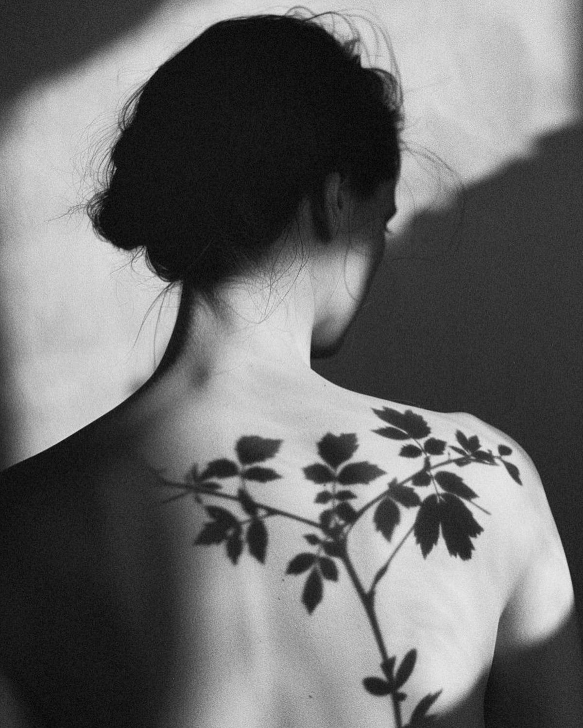 What Is Aromatherapy? A Beginner’s Guide