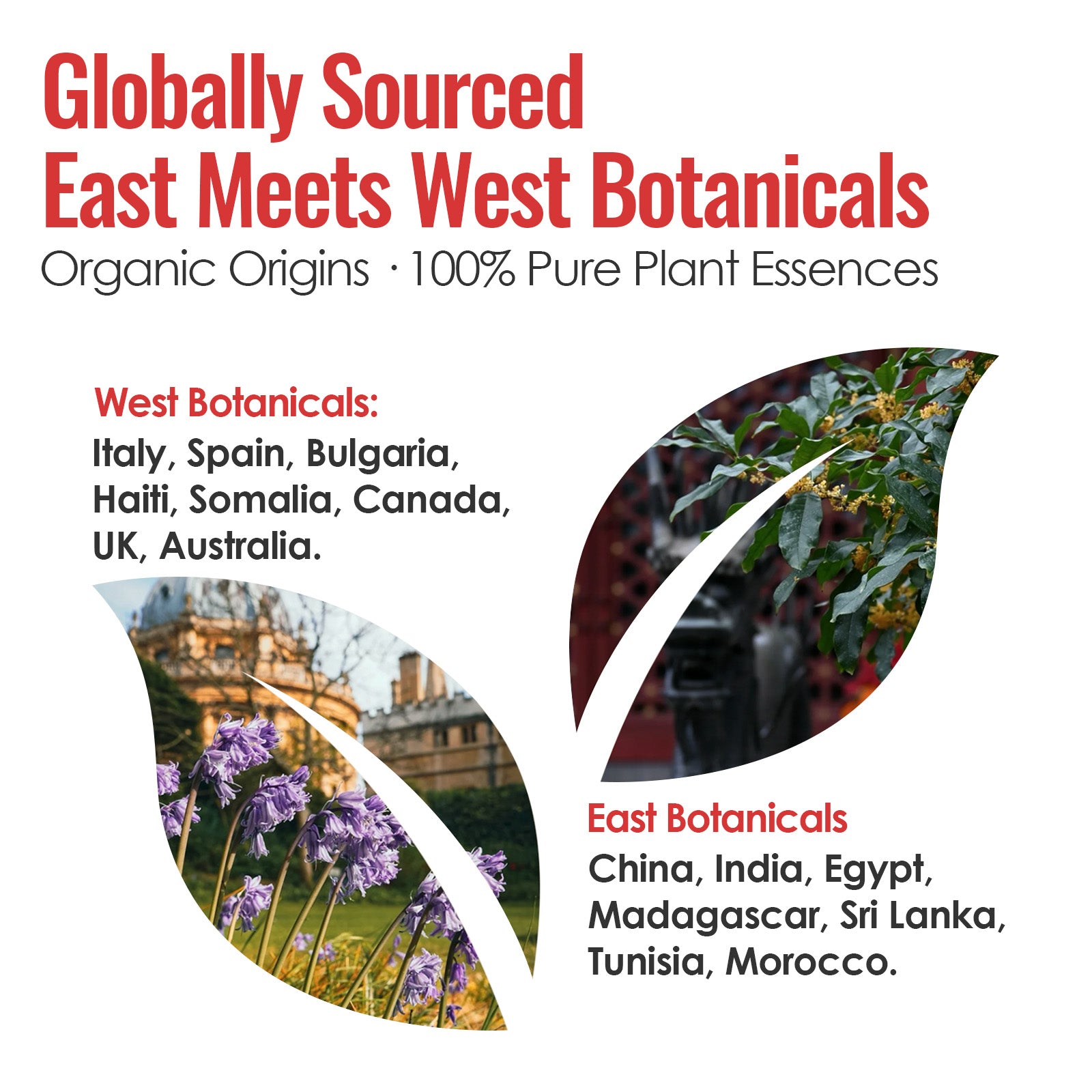 Fire & Metal - Five Elements Wellness Roller(Duo Set)