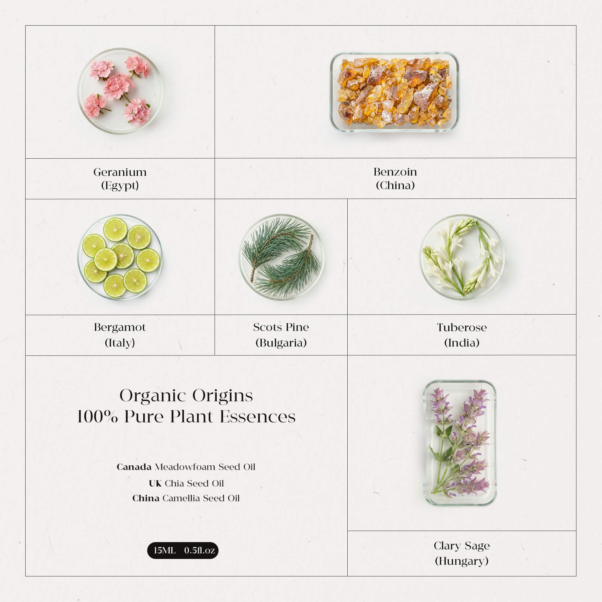 Wood Element - Five Elements Wellness Roller(Single)