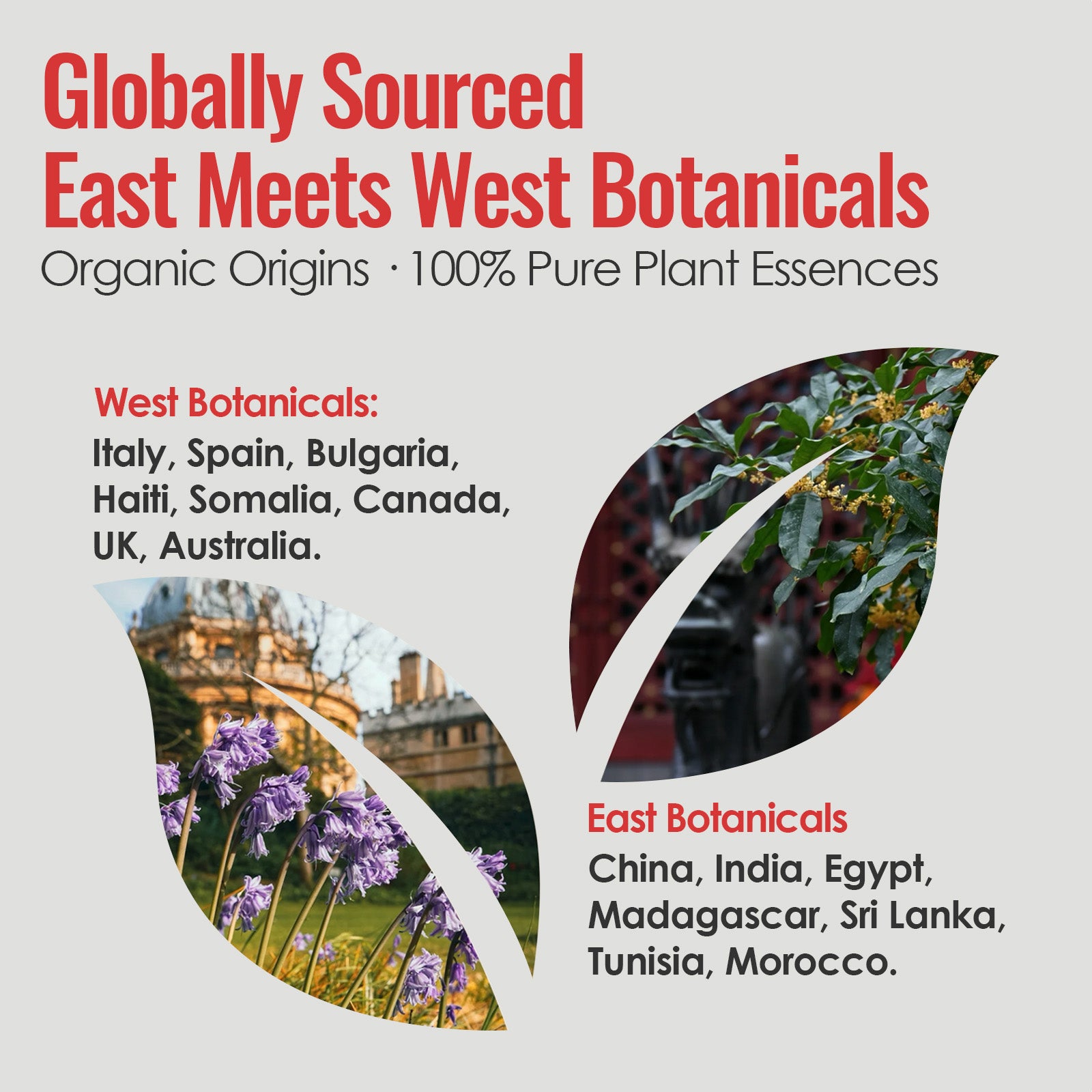 Water & Fire - Five Elements Wellness Roller(Duo Set)