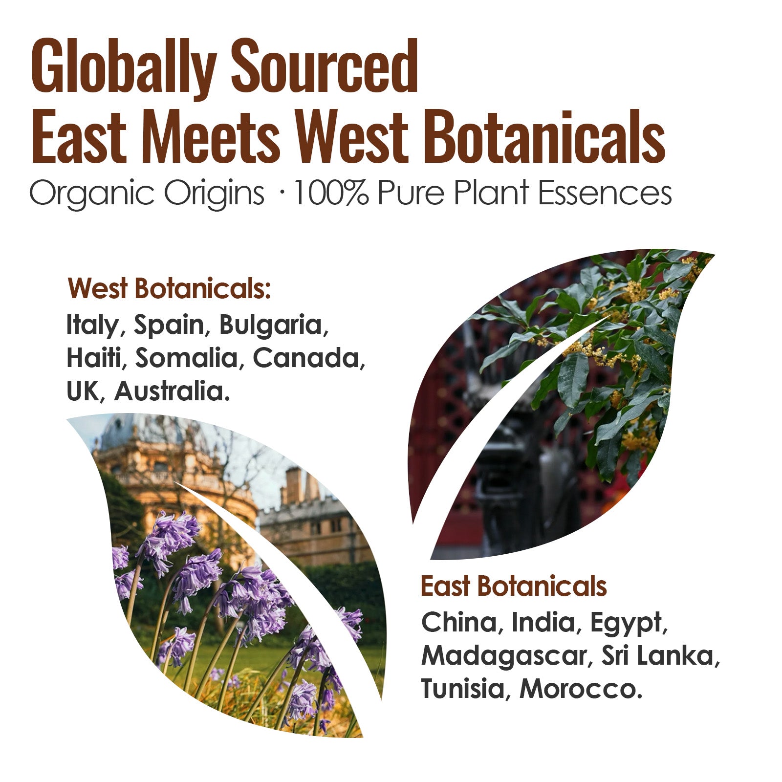 Water & Earth Element - Five Elements Wellness Roller(Duo Set)