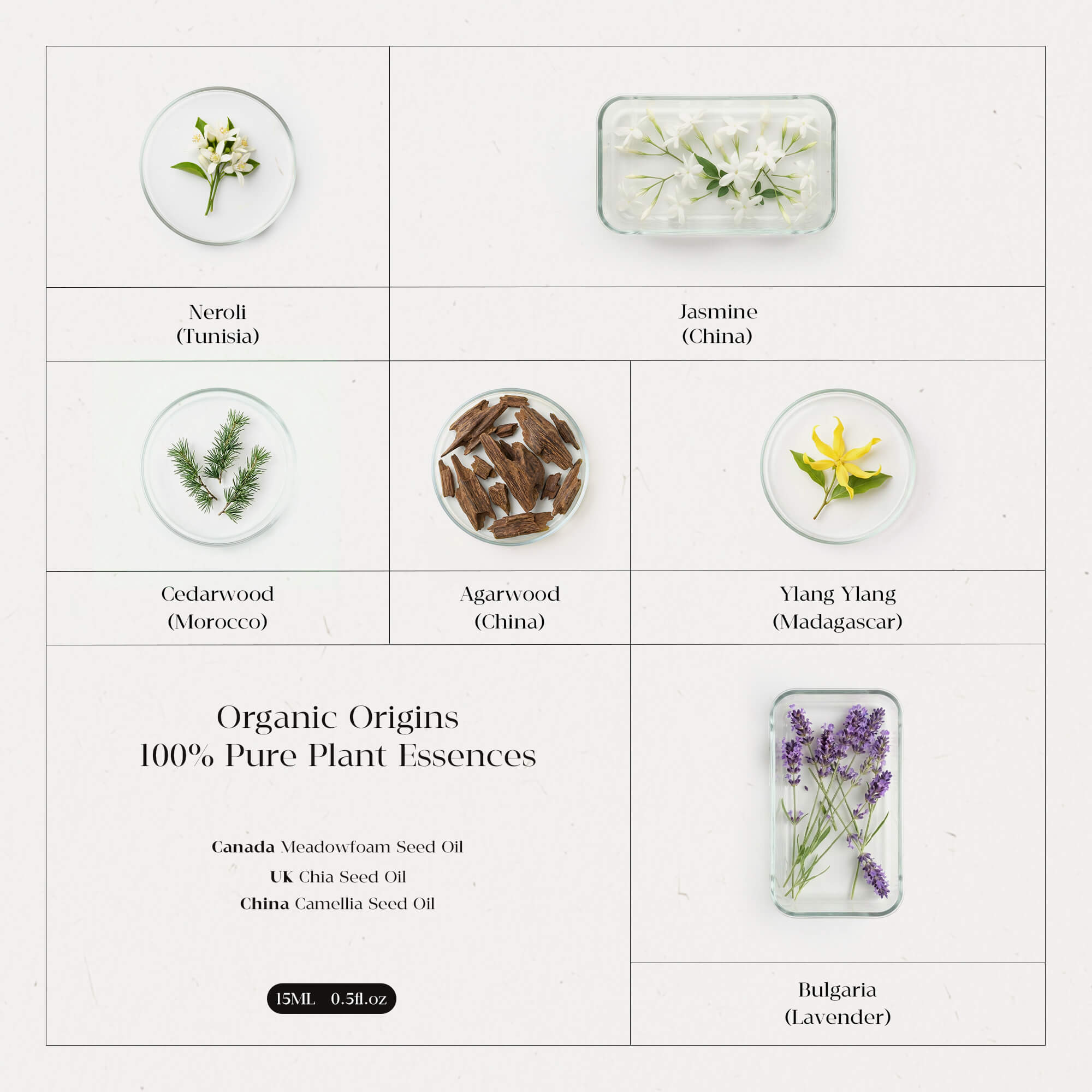 Water Element - Five Elements Wellness Roller(Single)