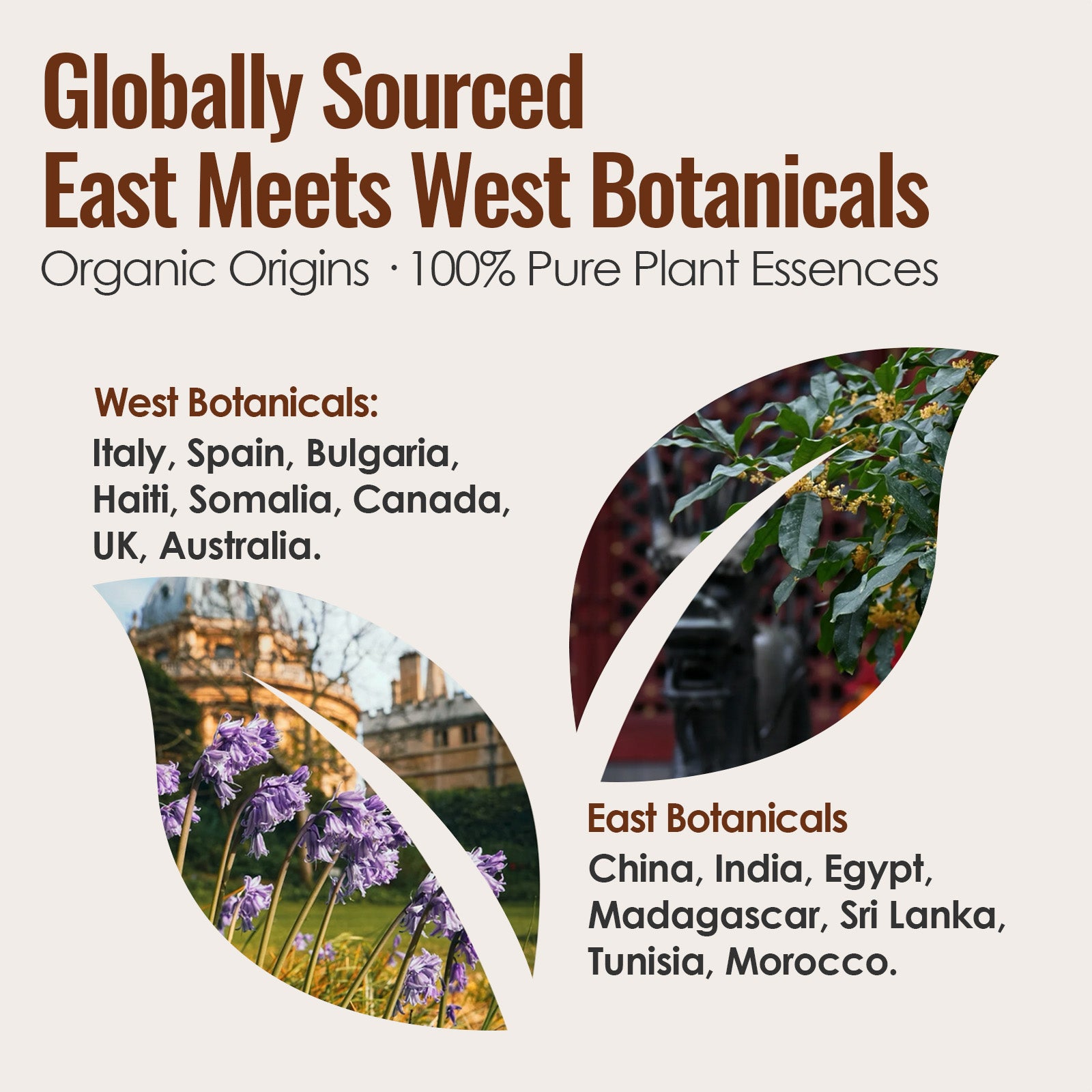 Earth & Wood - Five Elements Wellness Roller(Duo Set)