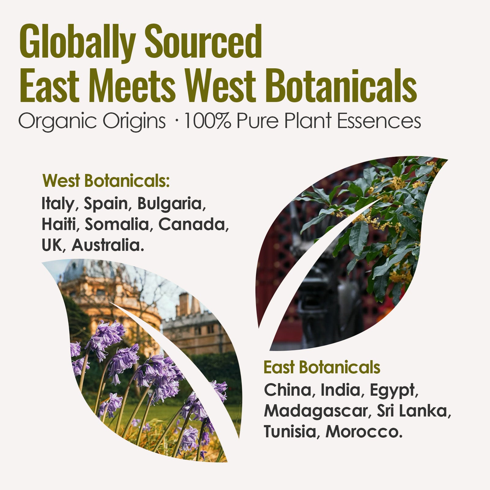 Wood Element - Five Elements Wellness Roller(Single)