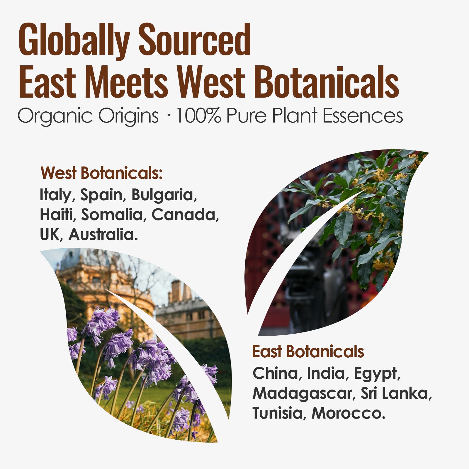 Wood & Metal - Five Elements Wellness Roller(Duo Set)